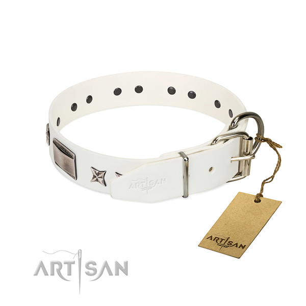 Adorned collar of full grain natural leather for your handsome four-legged friend