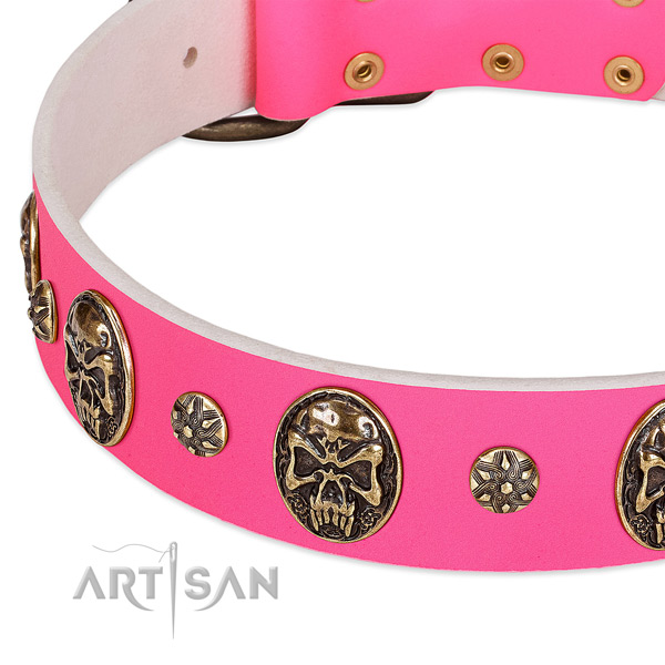 Studded dog collar created for your lovely dog