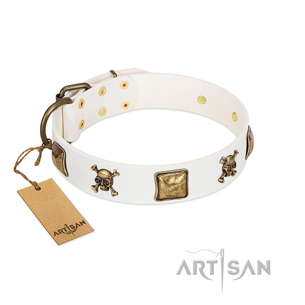 Incredible leather dog collar with corrosion resistant studs