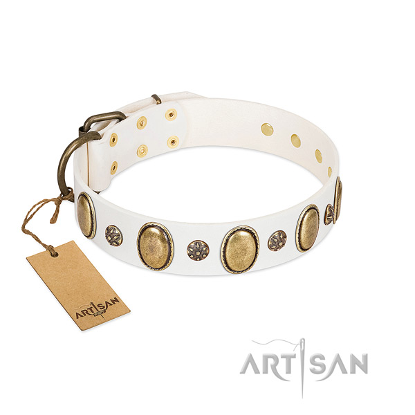 Everyday use soft to touch leather dog collar with embellishments