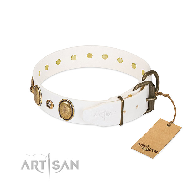 Everyday walking leather dog collar