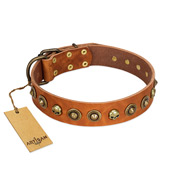 "Prez of the Pack" FDT Artisan Tan Leather Doberman Collar with Skulls and Brooches