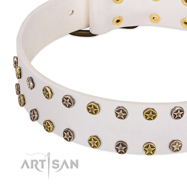 Top notch adornments on genuine leather collar for your dog