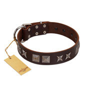 "Needle Stories" Modern FDT Artisan Brown Leather Doberman Collar with Square Engraved Plates and Four-Point Stars