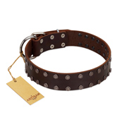 "Star Party" Handmade FDT Artisan Brown Leather Doberman Collar with Silver-Like Studs