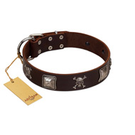"Nut-Brown Finery" Embellished FDT Artisan Brown Leather Doberman Collar with Chrome Plated Crossbones and Plates