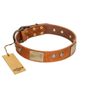 "Ancient Treasures" FDT Artisan Tan Leather Doberman Collar with Antiqued Plates and Studs
