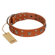 "Faraway Galaxy" FDT Artisan Tan Leather Doberman Collar Adorned with Stars and Squares