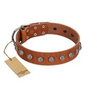 "Heroic Deeds" Designer Handmade FDT Artisan Tan Leather Doberman Collar