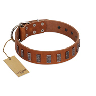 "Silver Century" Fashionable FDT Artisan Tan Leather Doberman Collar with Silver-Like Plates