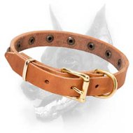 Simply Beautiful Leather Dog Collar with Brass Round Studs