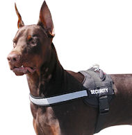 Excellent Nylon Reflective Dog Harness-Multifunctional Lifetime Doberman Gear