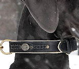 Doberman Dog Collars