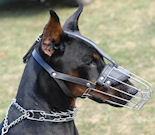 Doberman Dog Muzzles