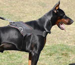 nylon dog harness, doberman dog harness for walkimg,police dog harness,tracking dog harness,pulling dog harness