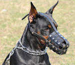 leather dog muzzle for Doberman Pinscher