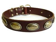 leather dog collar for doberman pinscher