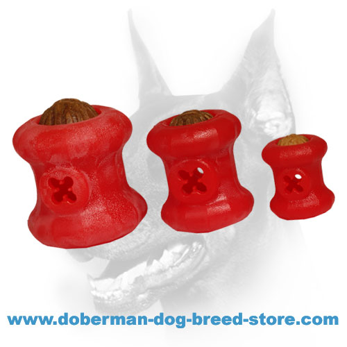 https://www.doberman-dog-breed-store.com/images/dog-training-equipment-categories-pictures/Doberman-dog-treat-dispensing-chew-toys-BIG.jpg