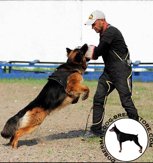 Nylon dog harness for efficient training