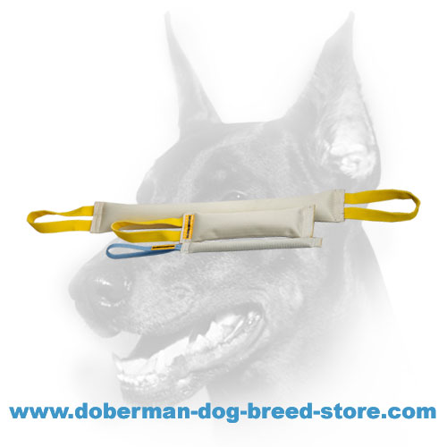 Doberman dog training set for developing biting skills