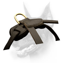 Doberman Harness with durable brass hardvare