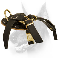 Beautiful Royal Leather Harness