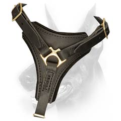 Handcrafted Leather Harness