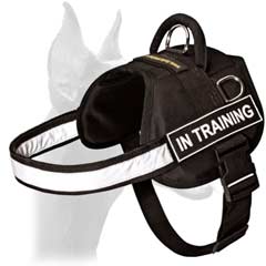 Adjustable everyday training nylon dog harness