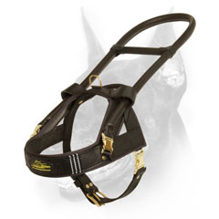 Leather Doberman Harness with Hard steel control handle