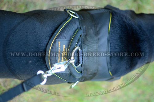 Top Quality Nylon Dog Harness