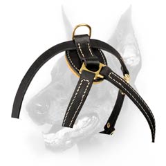 Beautiful Royal Leather Harness