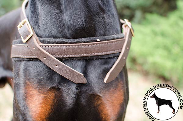 Three ways adjustable harness for Doberman