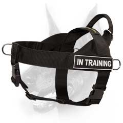 Comfortable well-made nylon training dog harness