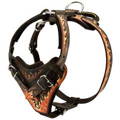 Exclusive design of Doberman Harness