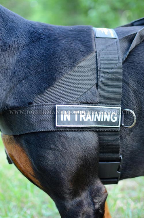 Top Quality Nylon Dog Harness