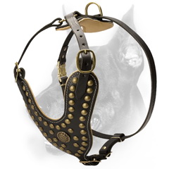Super dressy handmade leather dog harness