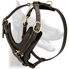 Fully adjustable fashion leather dog harness