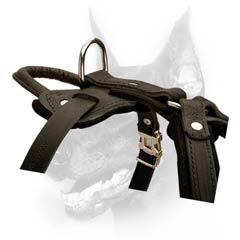 Attack training harness with handle