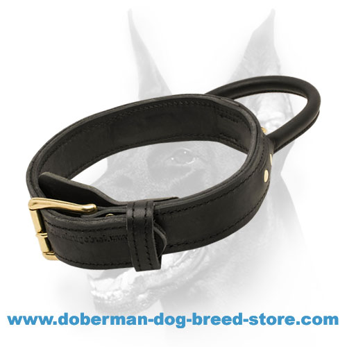 2 ply Leather Agitation Dog Collar With Heavy-Duty Handle for Dobermans
