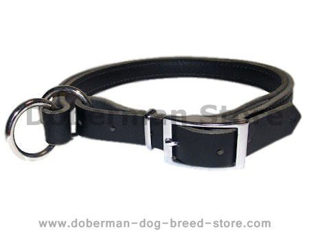 Adjustable Leather Slip Collar with strong Nickel-plated hardware for Doberman