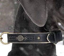 Royal Nappa Padded Hand Made Leather dog collar for Doberman