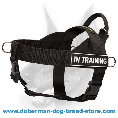 SAR Best Nylon Dog Harness - Wonderful Multipurpose Doberman Harness