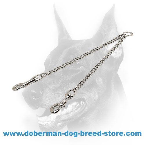 Chrome Plated Coupler Leash for Walking Two Dogs