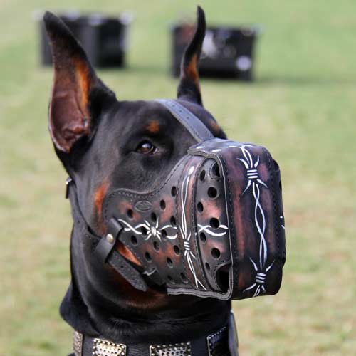 Leather Doberman Muzzle with Barbed Wire Painting