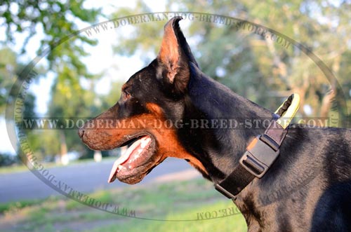 Heavy Duty Nylon Dog Collar-Easy Adjustable Classic Doberman Collar