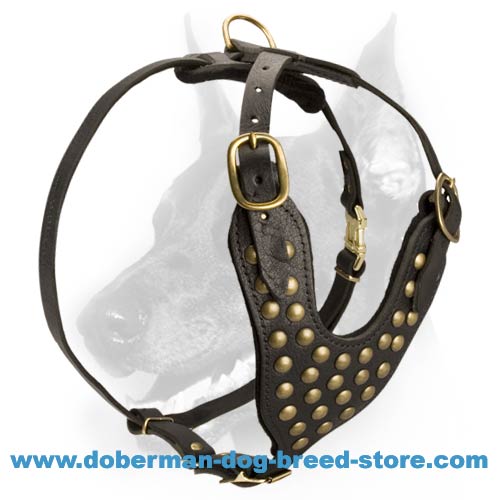 Studded Leather Dog Harness-Exclusive Friendly Doberman Harness