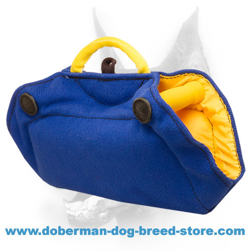 Young Doberman / Puppy Bite Builder for Basic Training - Click Image to Close