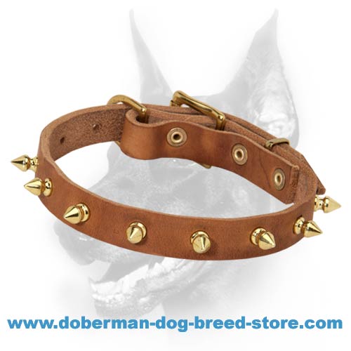 Spiked Leather Dog Collar-Leather Dog Collar Decorated With BRASS Spikes