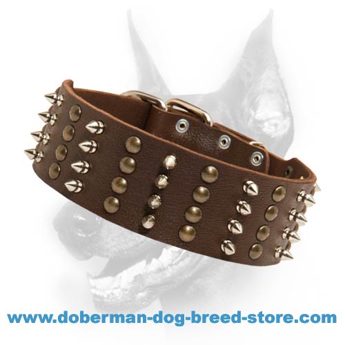 Doberman Spiked & Studded Exclusive Dog Collar