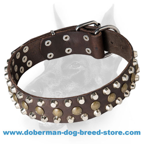 Fantastic Leather Doberman Dog Collar with Chic Decorations